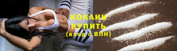 прущий лед Туринск