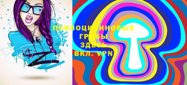 прущий лед Туринск