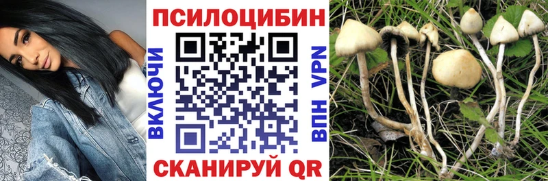 купить наркоту  Юхнов  Галлюциногенные грибы Cubensis 
